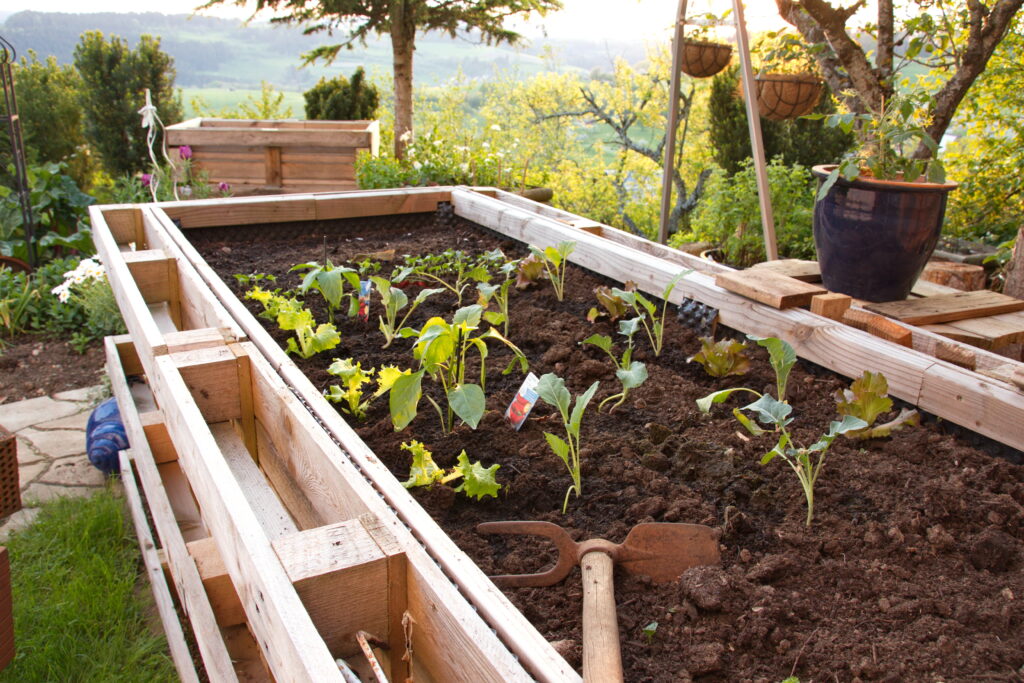 Hochbeet aus Holz