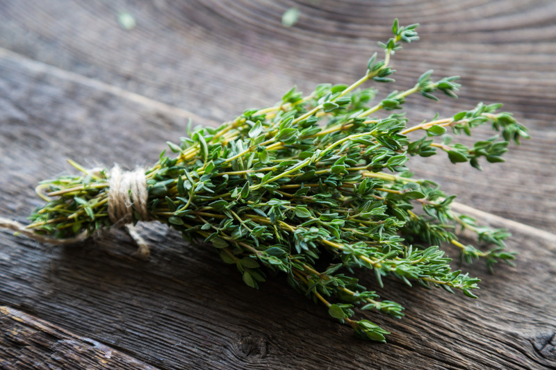 Kräuter: Superfood und Gartenerlebnis