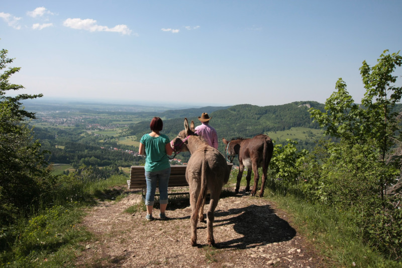 Eselwanderungen in der Region