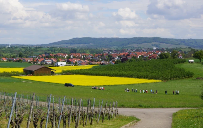 Destillatwege