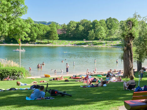 Schöne Seen in der Region Heilbronn